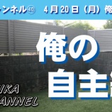 『シカチャンネル㊵』の画像