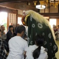 春の野点と落語と獅子舞を楽しむ会