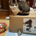 滝谷花しょうぶ園 1