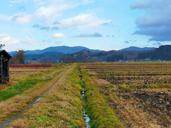 ネット記事「田舎に住んだら人生詰むンゴ！」←これ