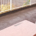猫に小判を与えたら。 埋蔵金：千八百八拾四両　それがわかっておってかぁ・・・。