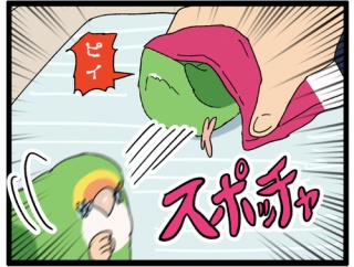 前を見て走らないからだと思う🦜