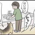 マロちゃんが母を呼びに来た理由