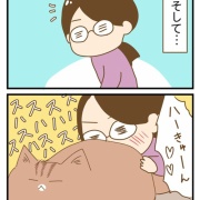 猫と5年暮らして思うこと