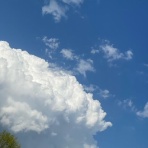 神崎みどり  OFFICIAL  BLOG