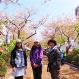 �ؽդγ��ҽ��ҥϥ����󥰡٤β���