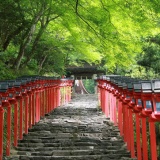面白い神社教えてくれよ！
