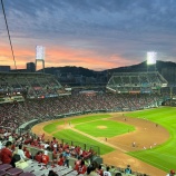 『プロスポーツは「何で商売をしている」のか？』の画像