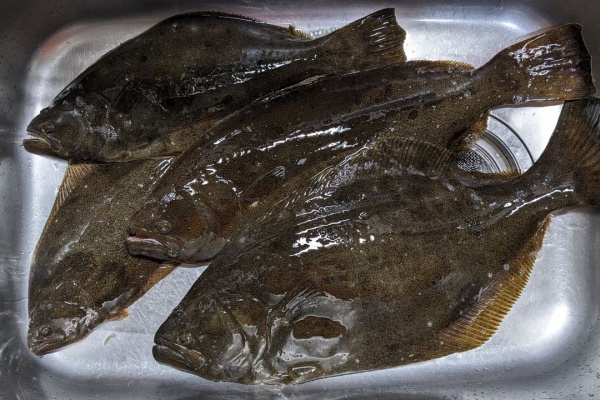 そこまで、気にしなくてもいいのに…。 - バケ釣り