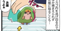 【寝るな──ッ!!】ゴルちゃん、包まれてスヤスヤ💤