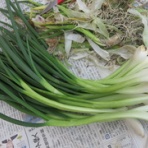 万年山文庫　『只今準備中』