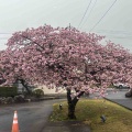 新学期始動。