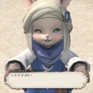 【FF14】Switch2版FF14実装で任天堂キッズが殺到！！かーらーのー「エオルゼア平均年齢引き下げ」可能性ある？