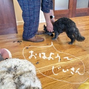 長期戦の始まり