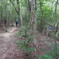 夏山低山が始まる前に。　――　二上山