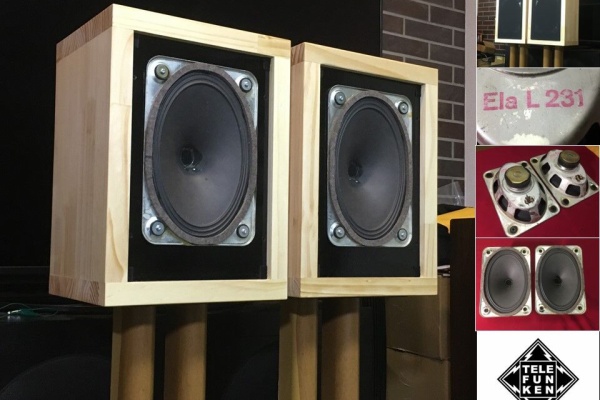 Telefunkenビンテージ 15x21cmフルレンジシステム 最高音質 ペア Telefunken ビンテージアルニコ 超(長)楕円スピーカー システム