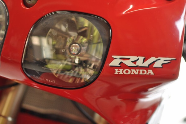 いくゾ～ やるゾ～ がんばる象