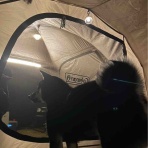 No.125  日日是好日