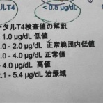 風の動物病院のブログ