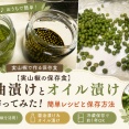 【実山椒の保存食】醤油漬けとオイル漬けを作ってみた！簡単レシピと保存方法