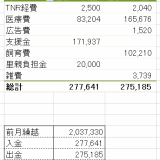 三度の飯＜犬と猫