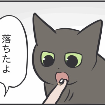 ついに投薬に気づいてしまった猫