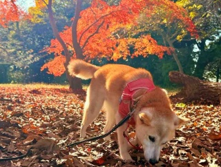イベントのあと、心も体もひとやすみ 
