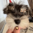 初めてのドキドキ