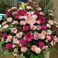 Х쥨֥The kabuki ʱΩ ڥѥ쥹