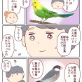 野生の桜文鳥？