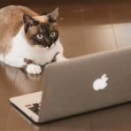 ガベージニュース