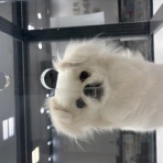 東京都八王子市　ワンラブ　イーアス高尾店　ブログ
