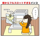 朝からフルスロットすぎるインコ