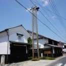 何故「男はつらいよ」が岡山（津山）のご当地そんぐなのか