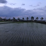 三重県よろずや