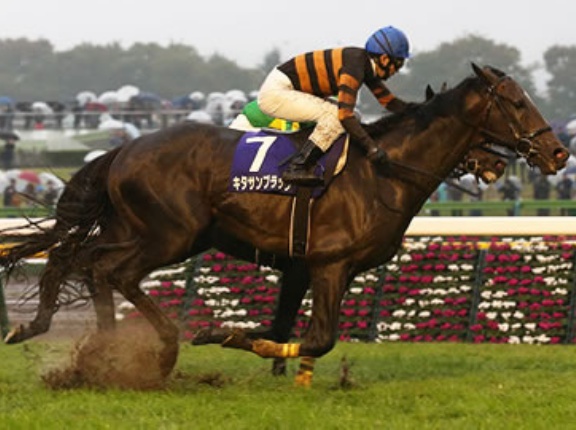 コントレイル×シュガーハート(半兄キタサンブラック) ラルクアンレーヴ日曜京都5Rデビュー