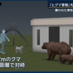 【札幌】公園で子どもを遊ばせるヒグマが激増