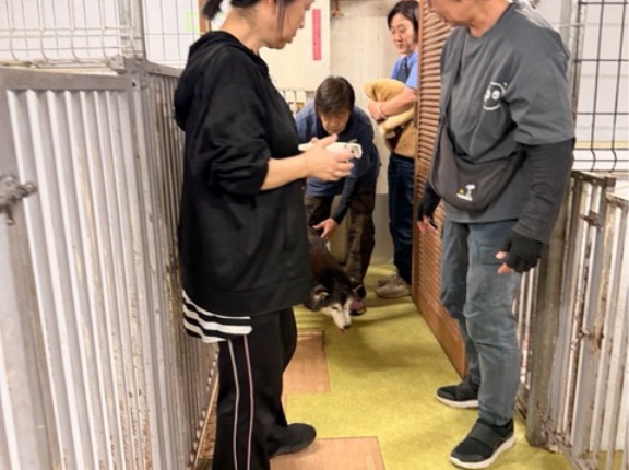 今日のアイビーちゃん通信です。💓💓💓