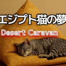 覗いてみたい　猫の夢　