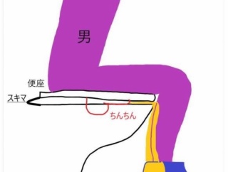 【画像】男の『座りション』、実はめちゃくちゃハイリスクだった……