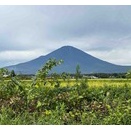 富士山、「阿羅漢」ラーメン＆ルース―丼、田代先輩、「あ倍川もち」、「わさびマヨネーズ」、月餅、辛子明太子お握り、プリン、、杏仁豆腐、アメリカンドッグ、サービスショット！