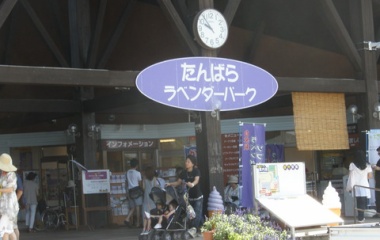 『2013/8/11 たんばらラベンダーパーク』の画像