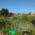 曽田博久のblog