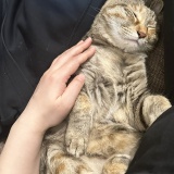 真夜中のハピネス