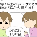 かれこれ１３年