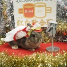 12月9日のグルーミングフォト