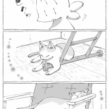 うちの犬のルカ。【８４】