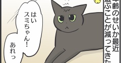 運動不足解消には現在これが一番