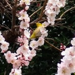 豊かな暮らしサポートBOX