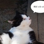 ソワレが要らないフランス暮らし